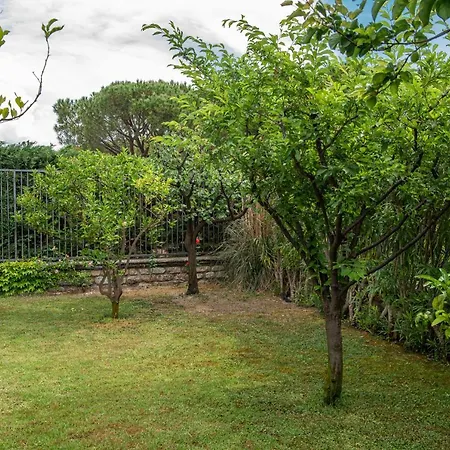 Magnificent * Sanremo