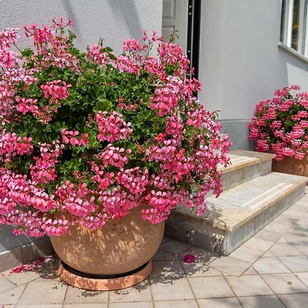 Vila Magnificent Sanremo