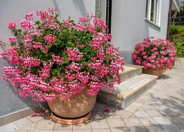 Willa Magnificent San Remo